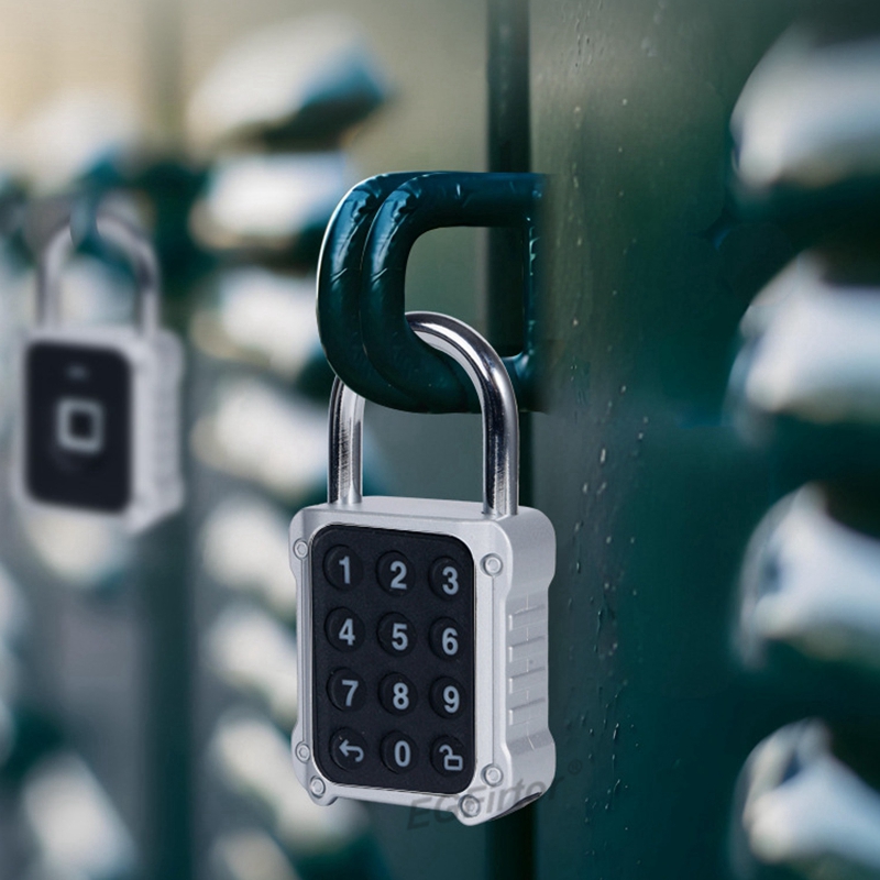 Tuya Bluetooth APP Remote Elec - Lockbox Key Secure review and price
